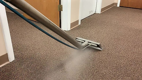 Steam Carpet Cleaning (Wand)